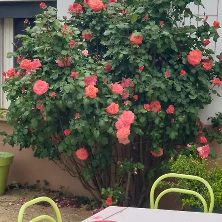 Aux Volets Bleu Guest house Villeneuve-sur-Lot